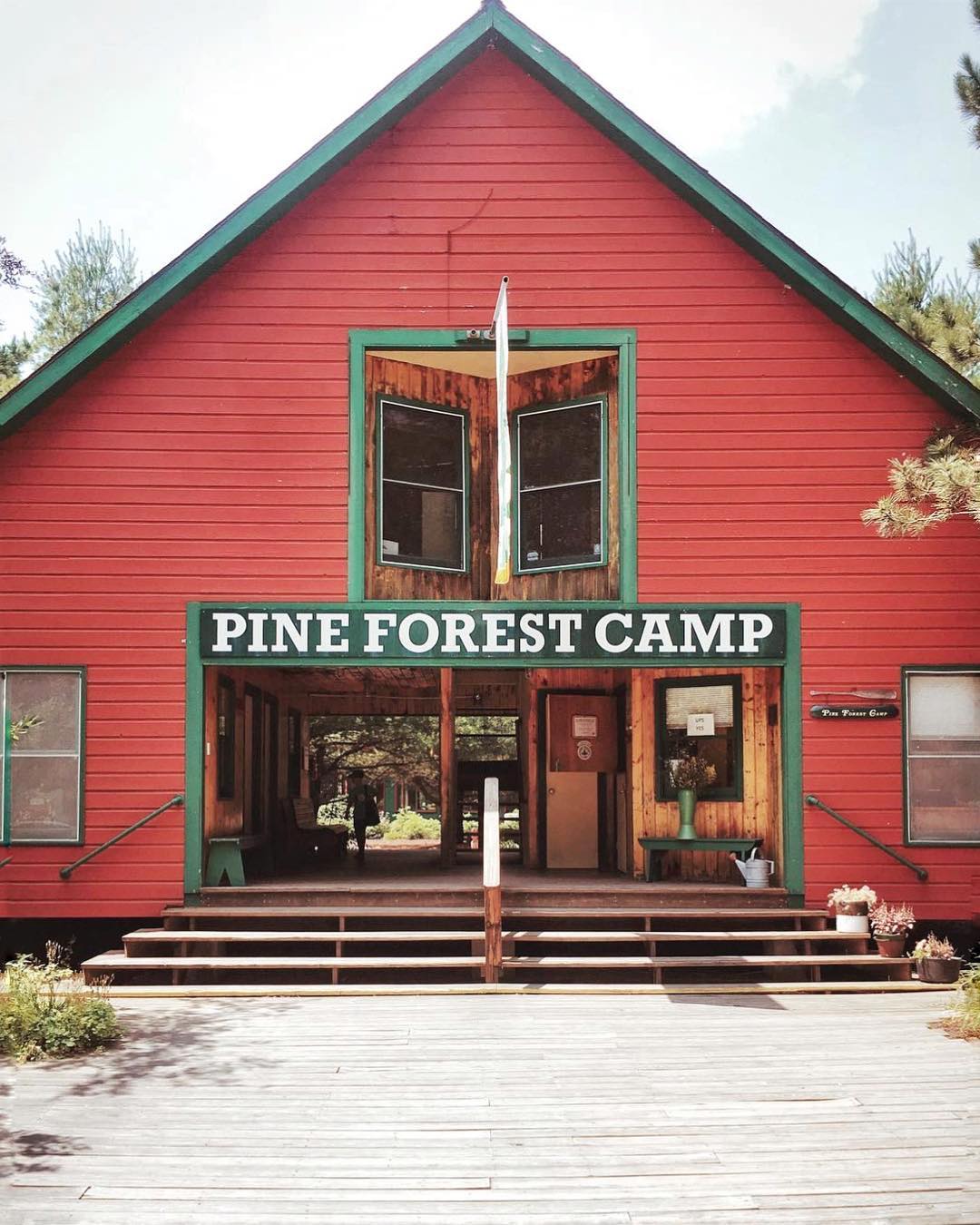 Accidentally Wes Anderson - Pine Forest Camp