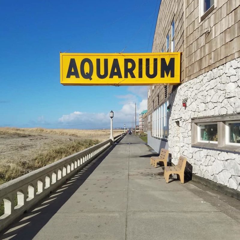 Seaside Aquarium | Accidentally Wes Anderson