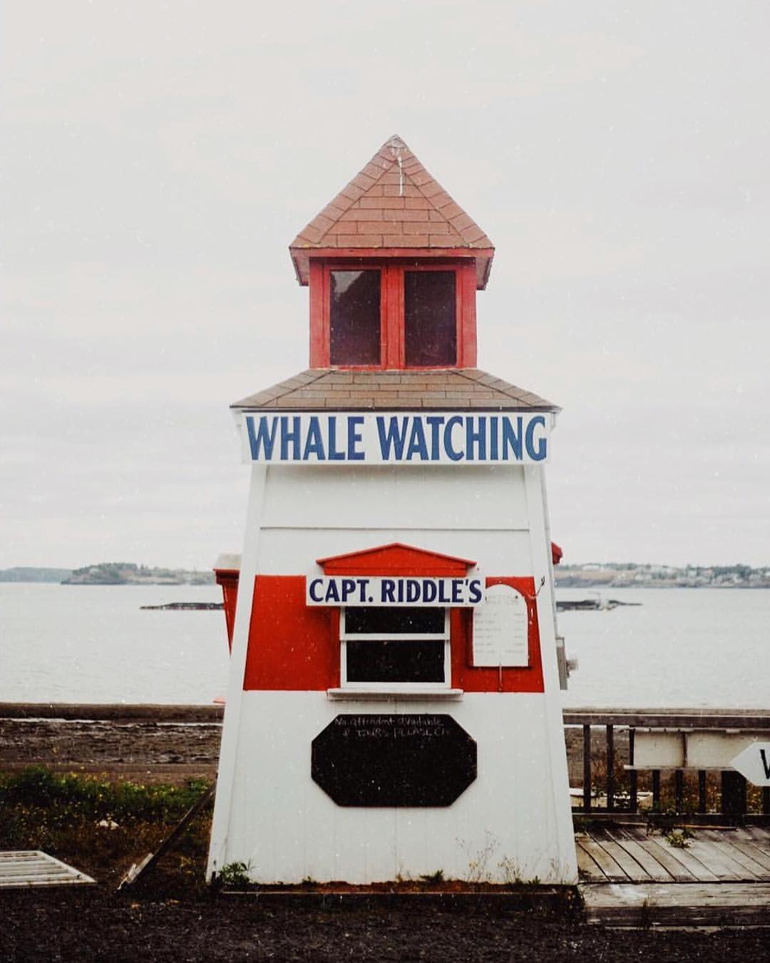 Accidentally Wes Anderson - Captain Riddle's Whale Watching