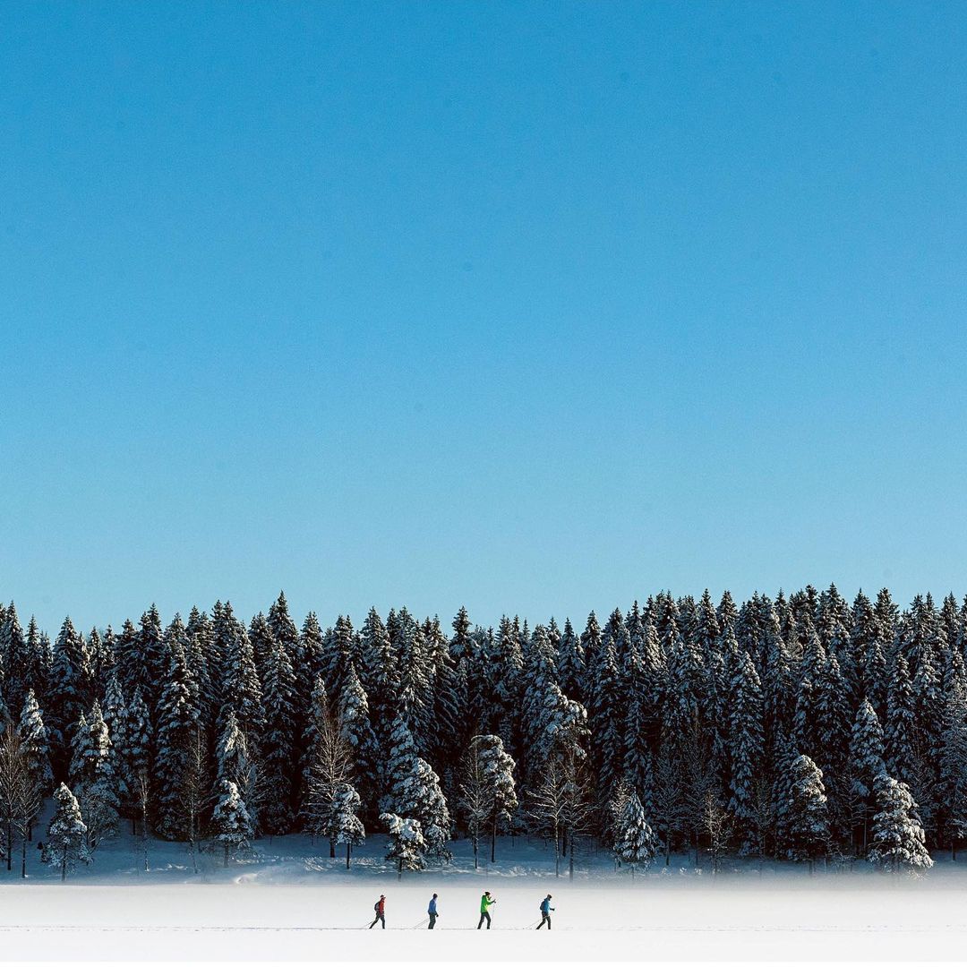 Accidentally Wes Anderson - Cross-Country Skiers