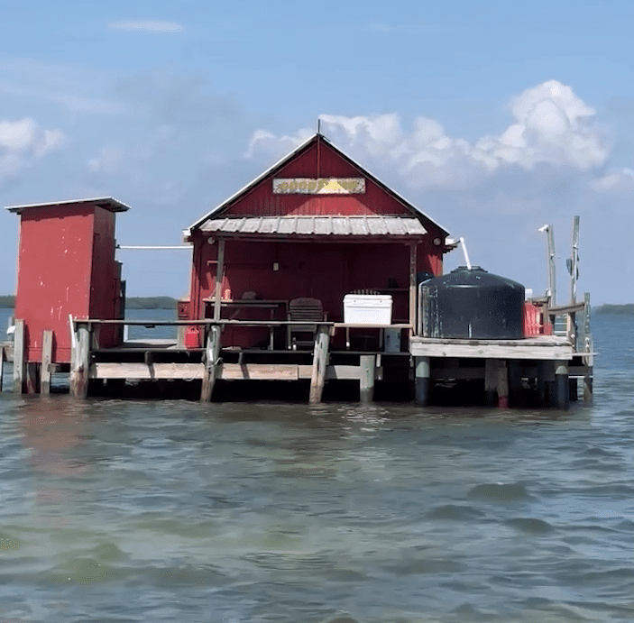 The Beaches of Fort Myers & Sanibel | Accidentally Wes Anderson